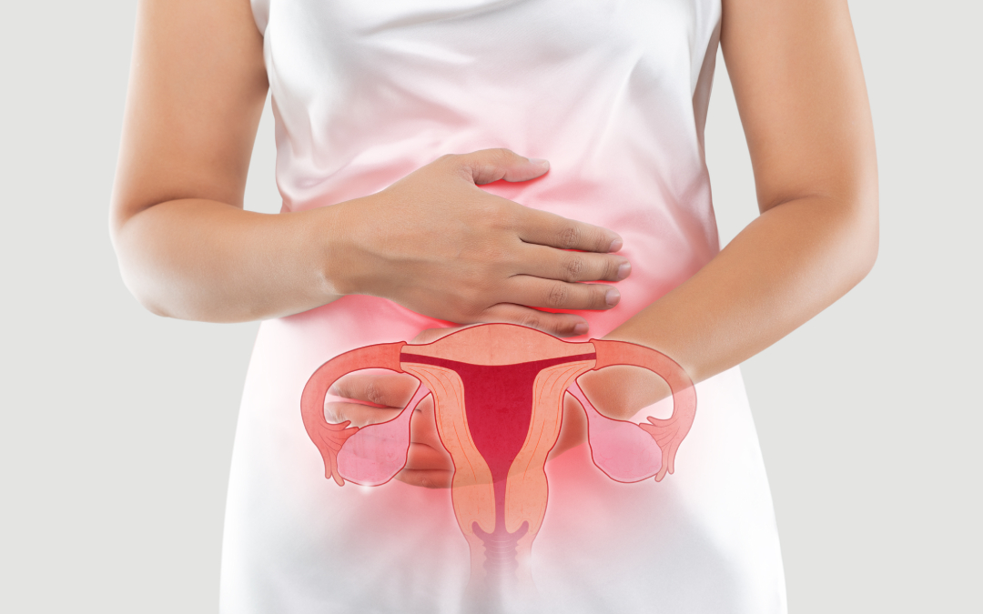 The photo of uterus is on the woman’s body, isolate on white background, Female anatomy concept